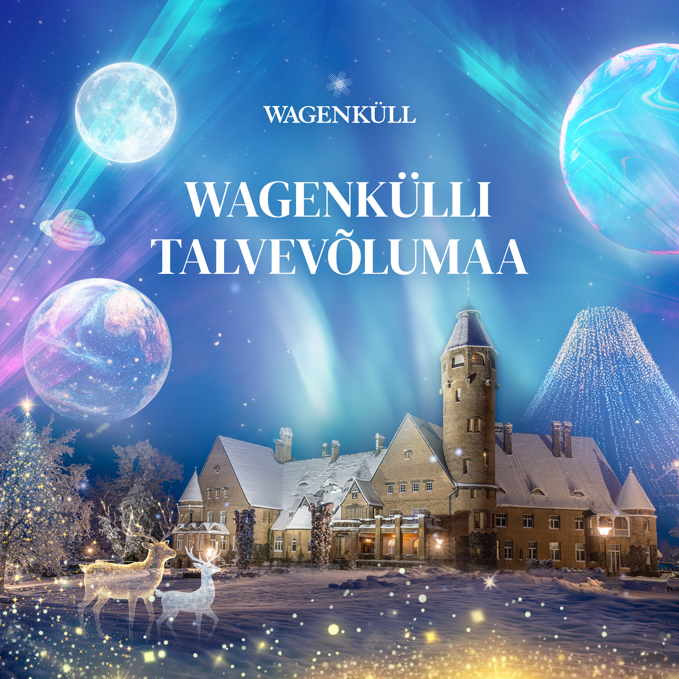 Wagenkülli lossispaa talvepark - image